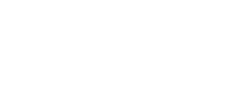 Logo-250x100-w